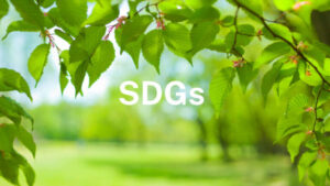 SDGs-image